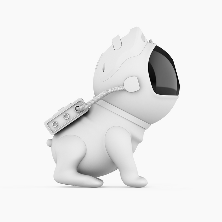 Space Dog Style Galaxy Projector - 13 Cartridges, Remote Control
