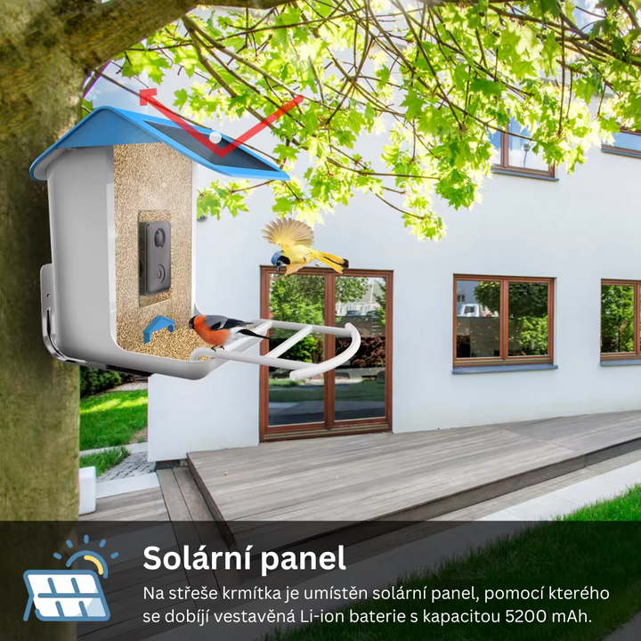 Chytré krmítko pro ptáky s kamerou a solárním panelem | Připojení přes Wi-Fi