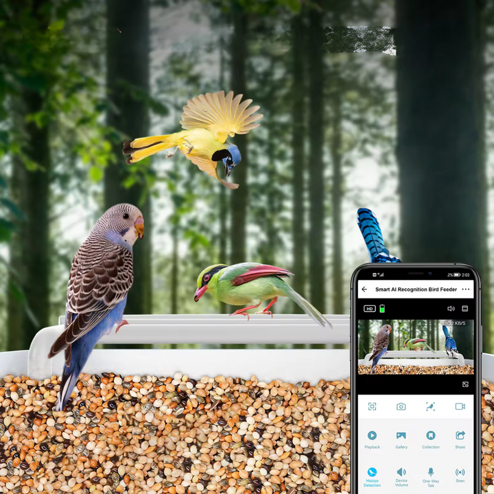 Chytré krmítko pro ptáky s kamerou a solárním panelem | Připojení přes Wi-Fi